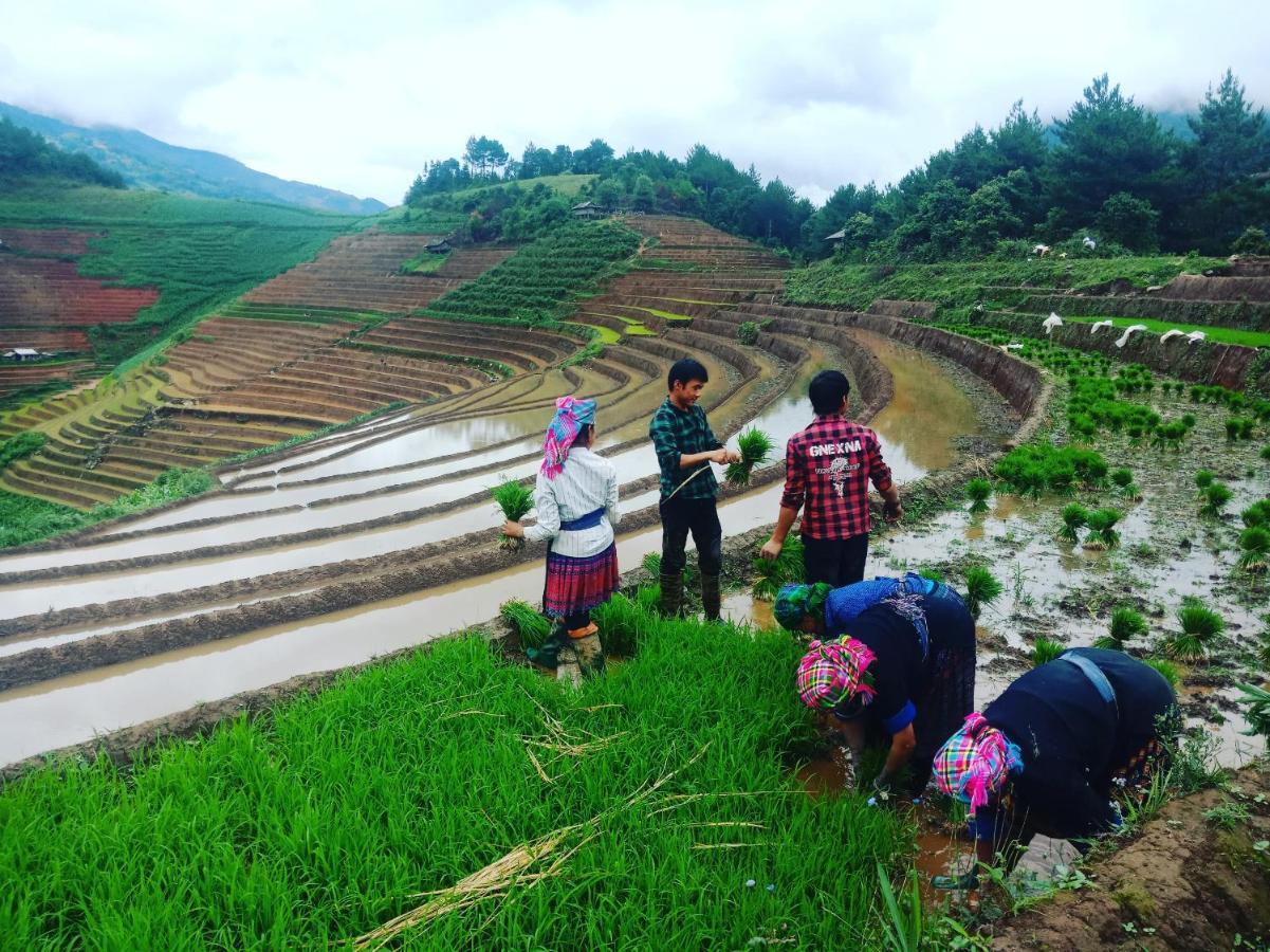 Mu Cang Chai Big View Homestay, Tour & Vegetarian Exterior foto