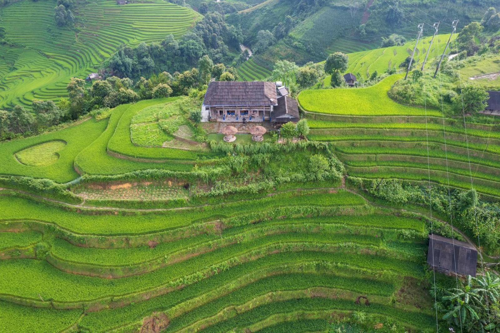 Mu Cang Chai Big View Homestay, Tour & Vegetarian Exterior foto