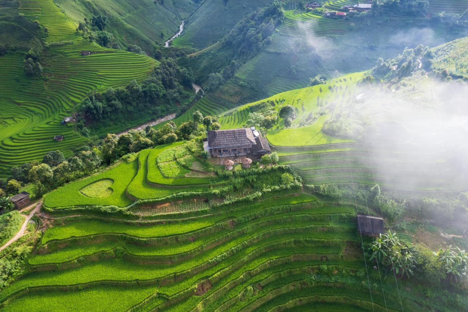 Mu Cang Chai Big View Homestay, Tour & Vegetarian Exterior foto