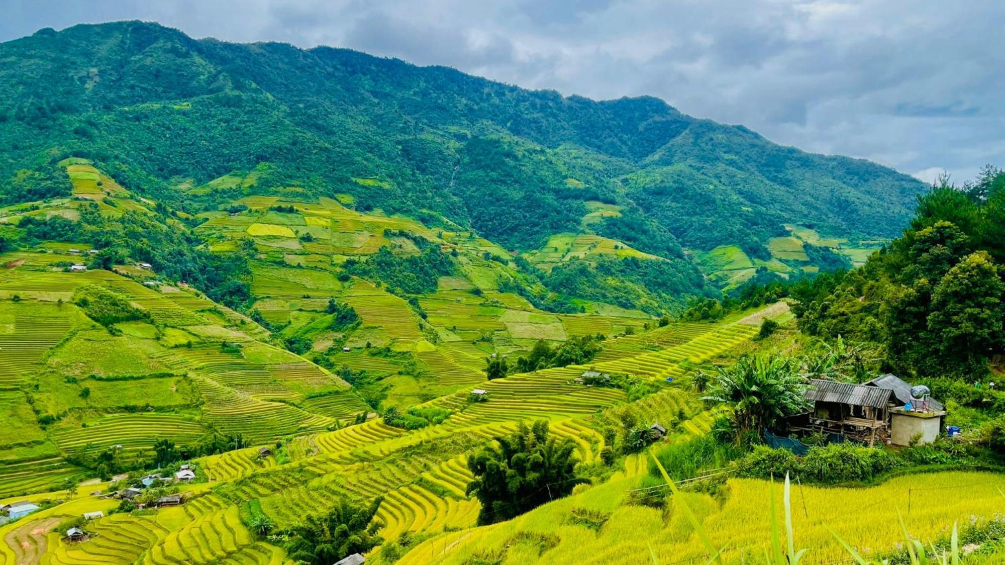 Mu Cang Chai Big View Homestay, Tour & Vegetarian Exterior foto