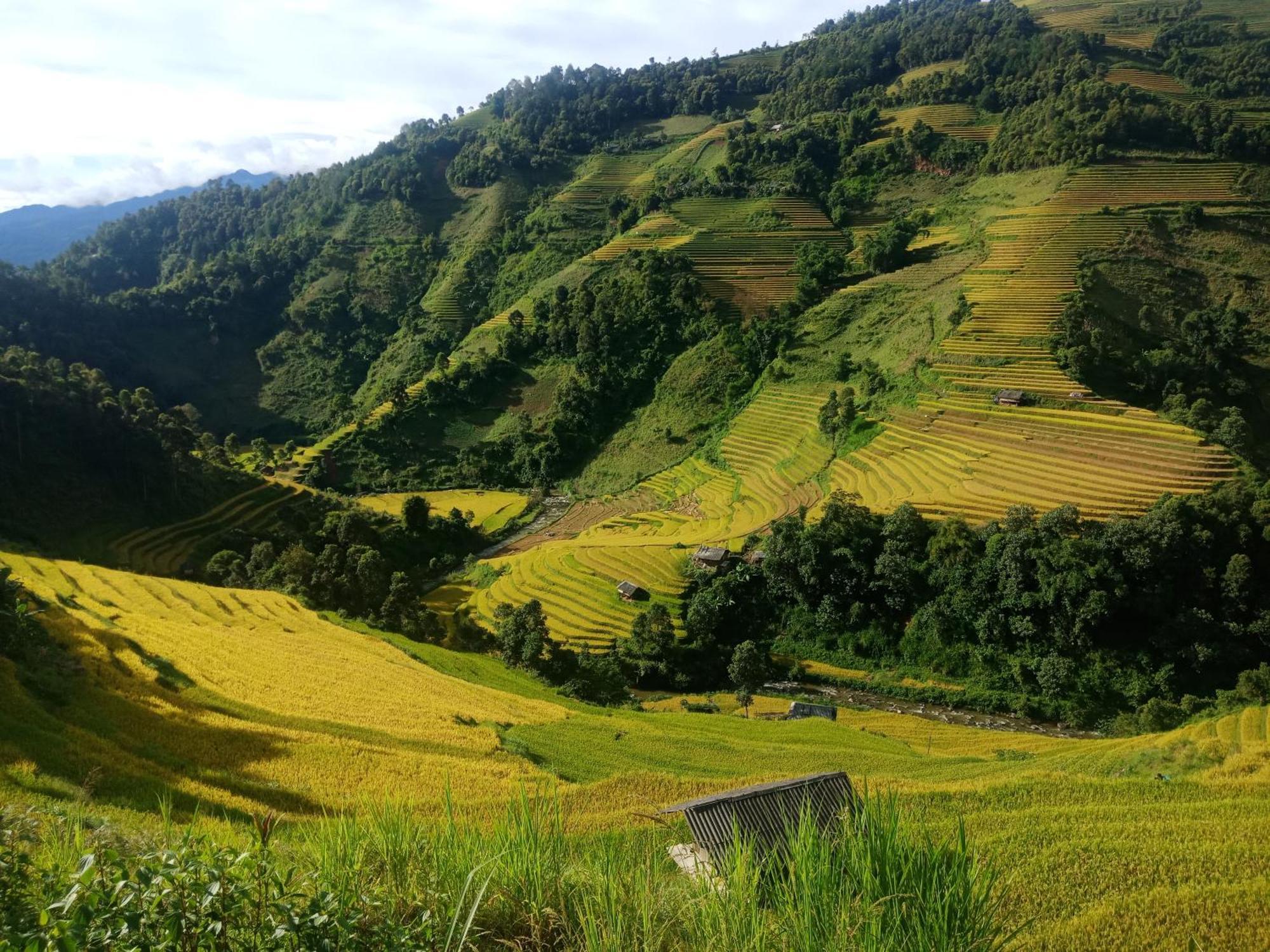 Mu Cang Chai Big View Homestay, Tour & Vegetarian Exterior foto