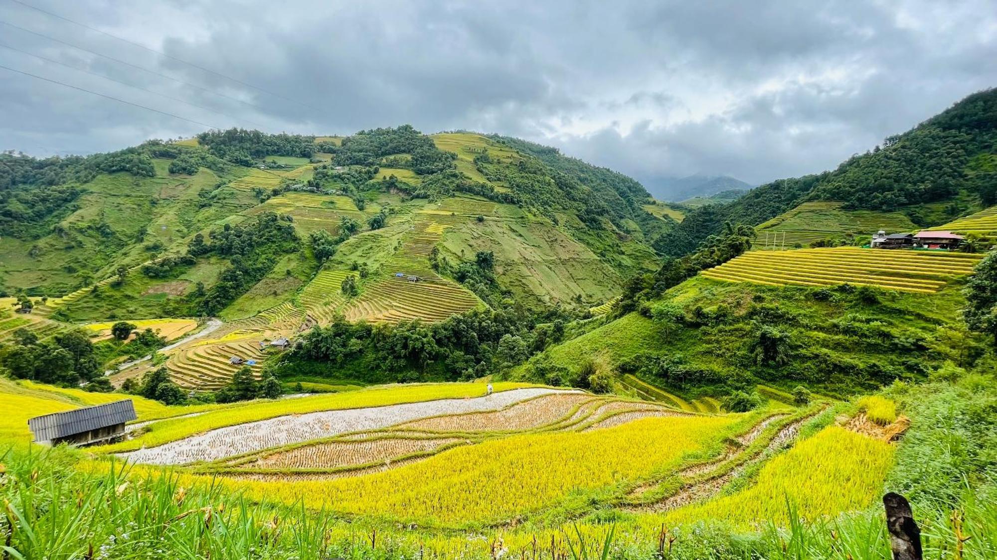 Mu Cang Chai Big View Homestay, Tour & Vegetarian Exterior foto
