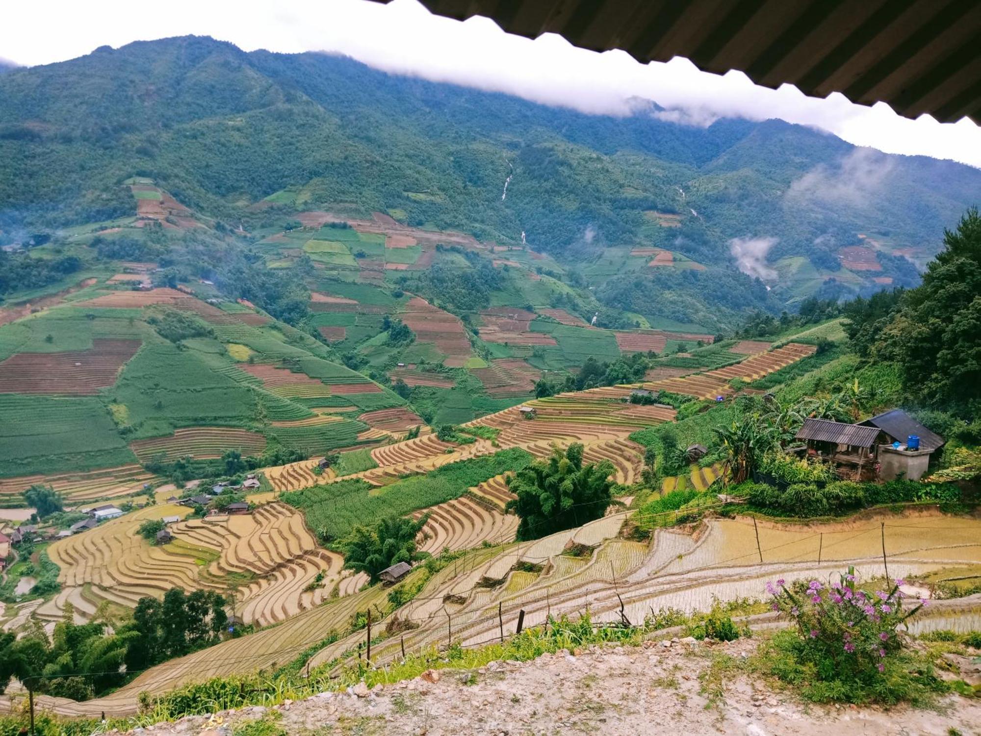 Mu Cang Chai Big View Homestay, Tour & Vegetarian Exterior foto