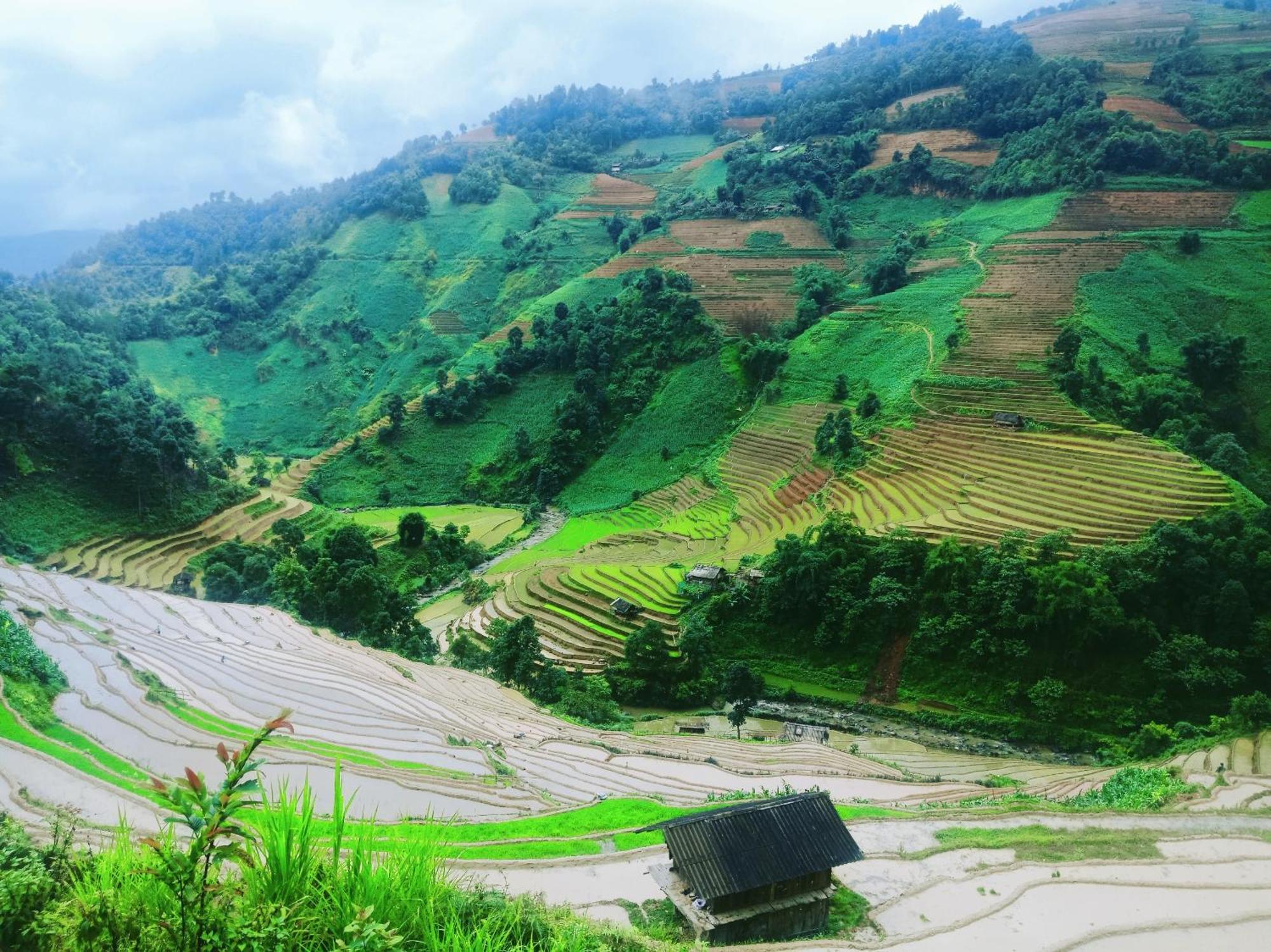 Mu Cang Chai Big View Homestay, Tour & Vegetarian Exterior foto
