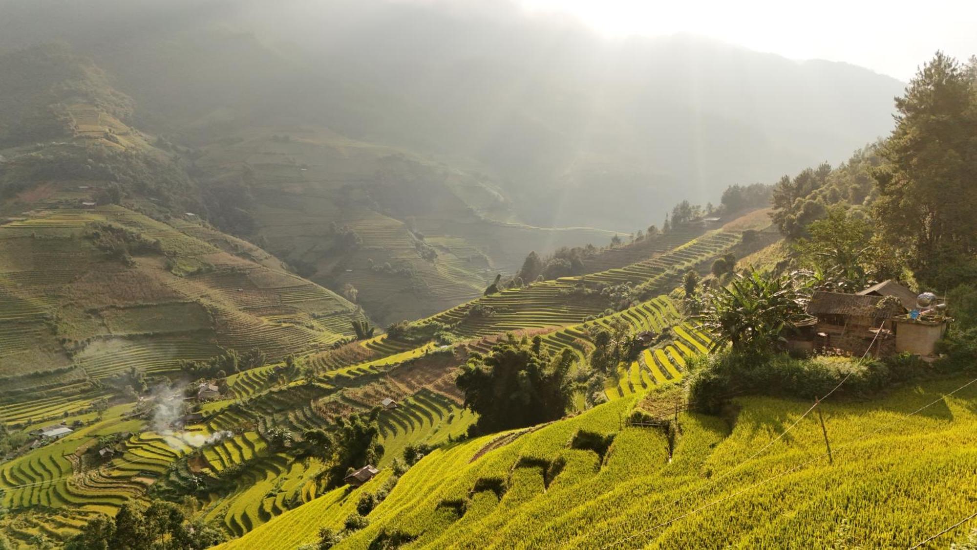 Mu Cang Chai Big View Homestay, Tour & Vegetarian Exterior foto